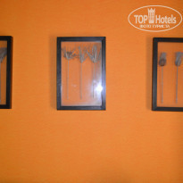 фото из отзыва ID 1054905