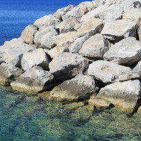 фото из отзыва ID 1052847