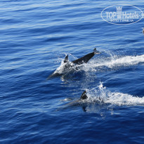 фото из отзыва ID 1052847