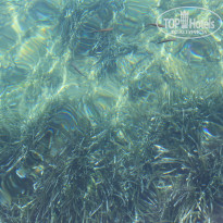 фото из отзыва ID 1052847