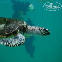 фото из отзыва ID 1055107