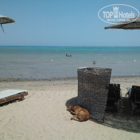 фото из отзыва ID 1055188