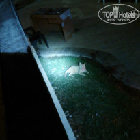 фото из отзыва ID 1055188