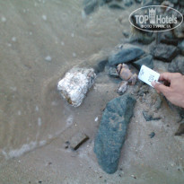 фото из отзыва ID 1055188