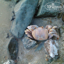 фото из отзыва ID 1055188