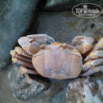 фото из отзыва ID 1055188