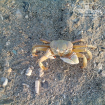 фото из отзыва ID 1055188