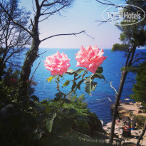 фото из отзыва ID 1055198