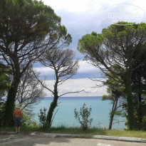 фото из отзыва ID 1055198