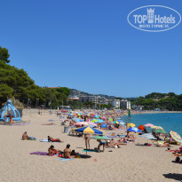 фото из отзыва ID 1055653