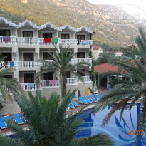 фото из отзыва ID 1056018