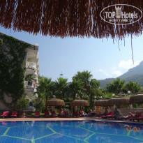 фото из отзыва ID 1056018