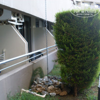 фото из отзыва ID 1056315