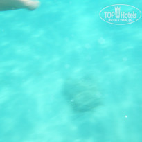 фото из отзыва ID 1056354