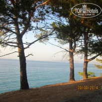 фото из отзыва ID 1056620