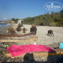 фото из отзыва ID 1056620