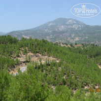 фото из отзыва ID 1056890