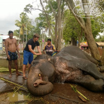 фото из отзыва ID 1057053