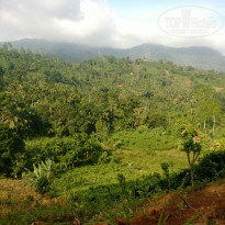 фото из отзыва ID 1057053