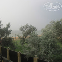 фото из отзыва ID 1057679