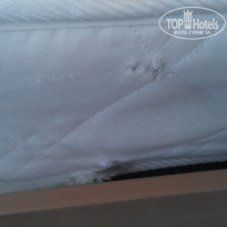 фото из отзыва ID 1057828