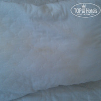 фото из отзыва ID 1057828