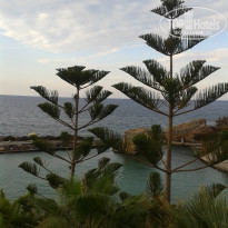 фото из отзыва ID 1058132