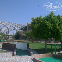 фото из отзыва ID 1058144