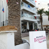 фото из отзыва ID 1058357