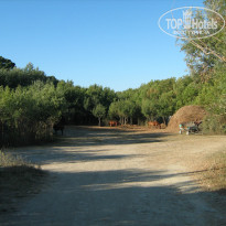 фото из отзыва ID 1058344