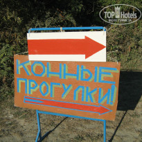 фото из отзыва ID 1058344