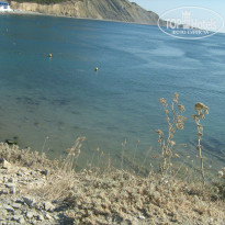 фото из отзыва ID 1058344