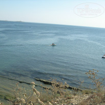 фото из отзыва ID 1058344