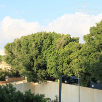 фото из отзыва ID 1058569