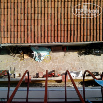 фото из отзыва ID 1051665