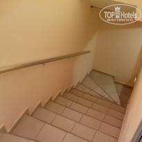 фото из отзыва ID 1051665