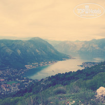 фото из отзыва ID 1058768