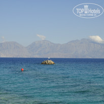 фото из отзыва ID 1058808