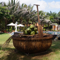 фото из отзыва ID 1058883