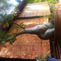 фото из отзыва ID 1058883