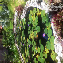 фото из отзыва ID 1058883