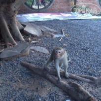 фото из отзыва ID 1058883