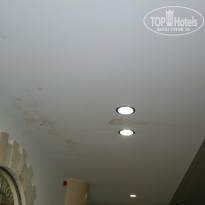 фото из отзыва ID 1058887