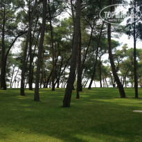 фото из отзыва ID 1059012