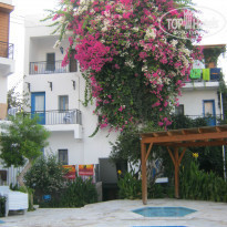 фото из отзыва ID 1059016