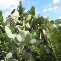 фото из отзыва ID 1059029