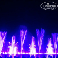 фото из отзыва ID 1059164