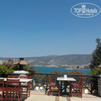 фото из отзыва ID 1059179