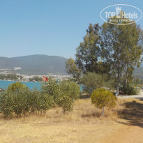 фото из отзыва ID 1059179