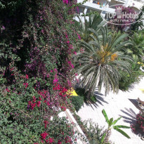 фото из отзыва ID 1059477